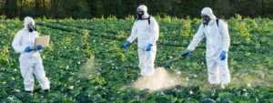 Farmers and Agronomist spraying pesticide on field with Harvest.