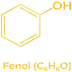 Fenol: Avaliação dos seus Efeitos Tóxicos