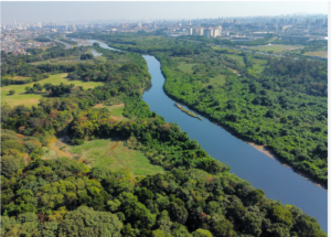 Governo do Estado de São Paulo Institui o FINACLIMA-SP, instrumento de estímulo financeiro da Política Estadual de Mudanças Climáticas